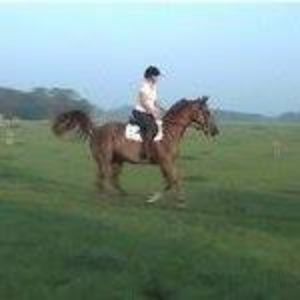 Meet your Posher, Elizabeth